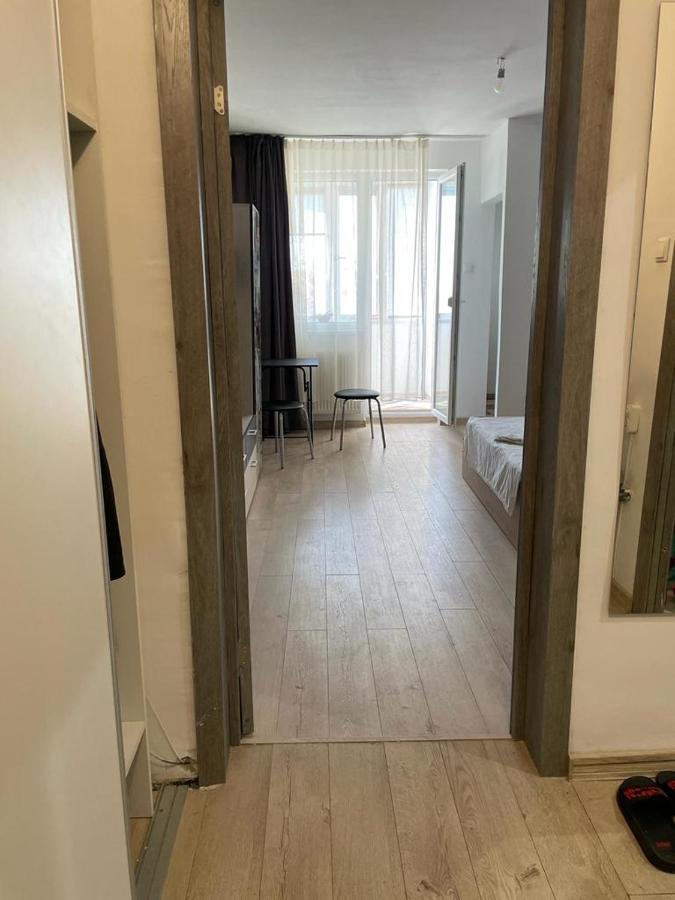 Bega Cirumvalatiunii One Room Apartment- 4 Тімішоара Екстер'єр фото