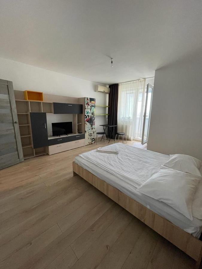 Bega Cirumvalatiunii One Room Apartment- 4 Тімішоара Екстер'єр фото